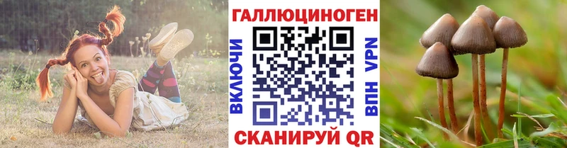 Галлюциногенные грибы Psilocybine cubensis  ОМГ ОМГ сайт  Котельники 